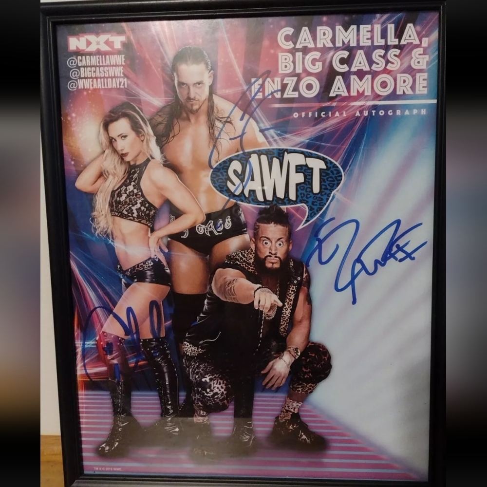 Wrestling Autographed Poster